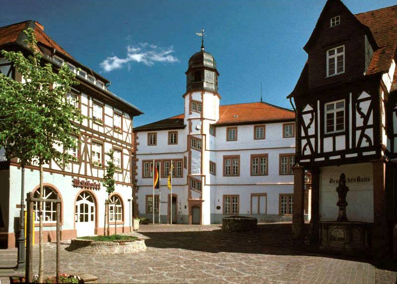 Wintergarten-Fachbetriebe in Alzey: Stadtansicht