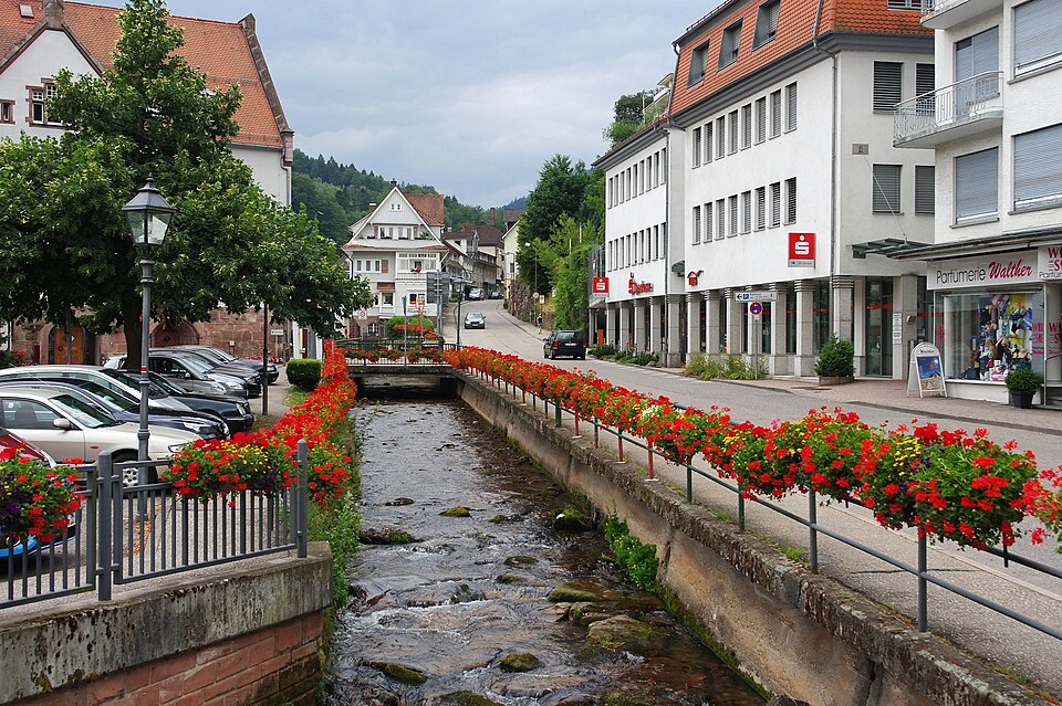Wintergarten-Fachbetriebe in Bad Herrenalb: Stadtansicht – Foto: Alexignat Wintergarten-Fachbetriebe in Bad Herrenalb: Stadtansicht