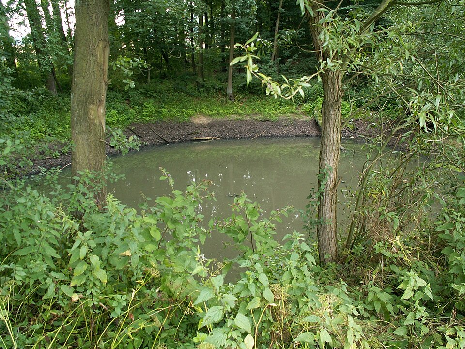 Wintergarten-Fachbetriebe in Belm: Stadtansicht