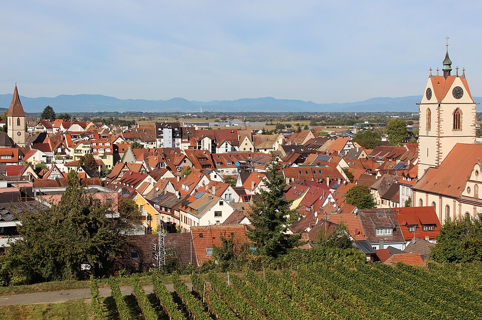 Wintergarten-Fachbetriebe in Endingen: Stadtansicht – Foto: LigaDue Wintergarten-Fachbetriebe in Endingen: Stadtansicht