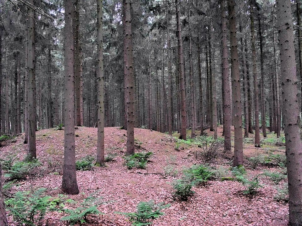 Wintergarten-Fachbetriebe in Goldenstedt: Stadtansicht – Foto: XenonX3 Wintergarten-Fachbetriebe in Goldenstedt: Stadtansicht