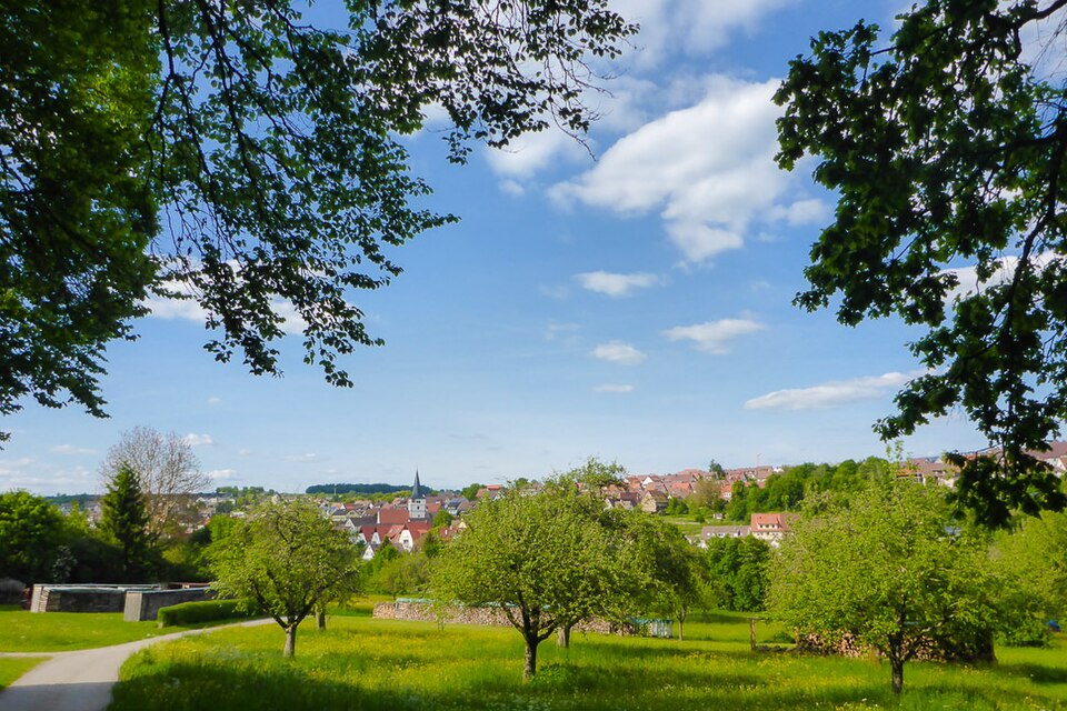 Wintergarten-Fachbetriebe in Grafenau: Stadtansicht – Foto: Rainer M. Ritz Wintergarten-Fachbetriebe in Grafenau: Stadtansicht