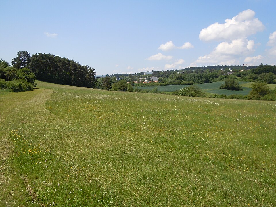 Wintergarten-Fachbetriebe in Haiterbach: Stadtansicht