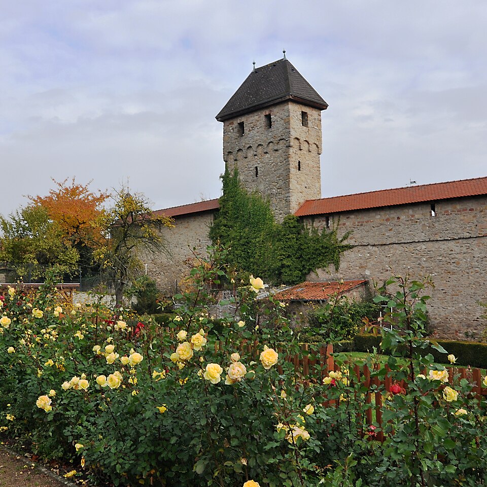 Wintergarten-Fachbetriebe in Kirchheimbolanden: Stadtansicht – Foto: Mussklprozz Wintergarten-Fachbetriebe in Kirchheimbolanden: Stadtansicht
