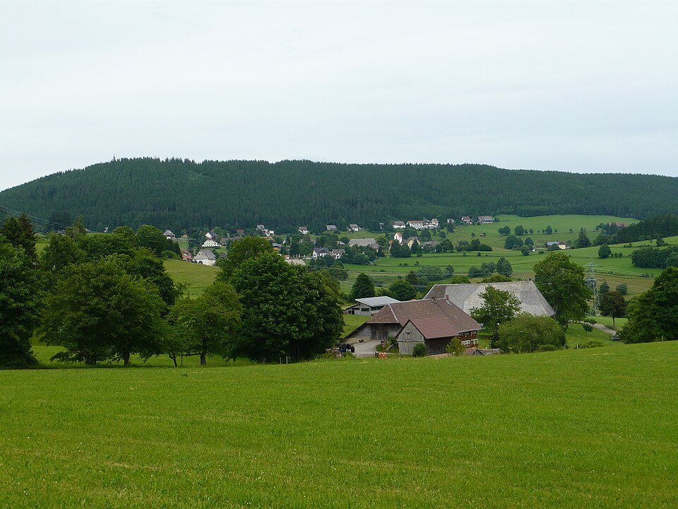 Wintergarten-Fachbetriebe in Lenzkirch: Stadtansicht – Foto: Flominator Wintergarten-Fachbetriebe in Lenzkirch: Stadtansicht