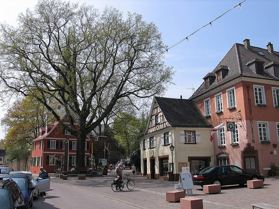 Wintergarten-Fachbetriebe in Nierstein: Stadtansicht – Foto: Luidger Wintergarten-Fachbetriebe in Nierstein: Stadtansicht