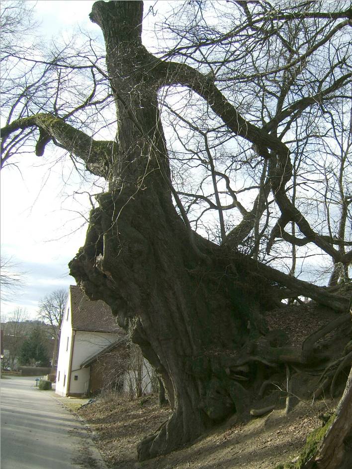 Wintergarten-Fachbetriebe in Petershausen: Stadtansicht