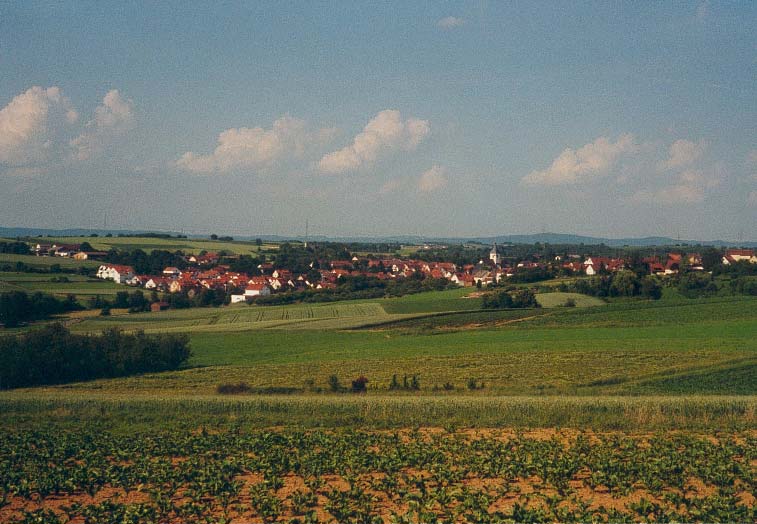 Wintergarten-Fachbetriebe in Schwaikheim: Stadtansicht
