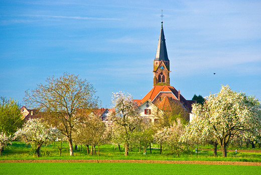 Wintergarten-Fachbetriebe in Schwanau: Kirche