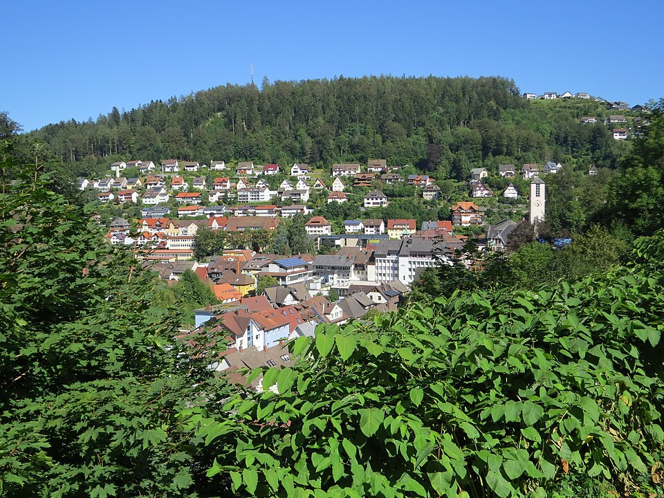 Wintergarten-Fachbetriebe in Triberg: Stadtansicht