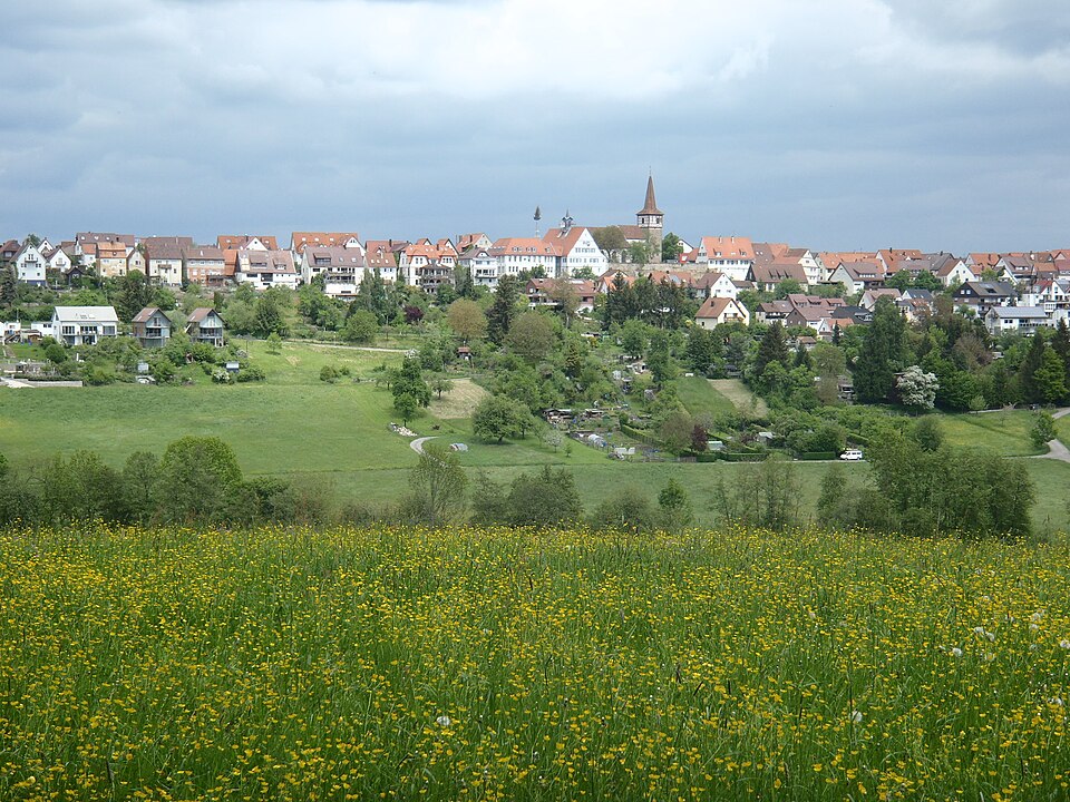 Wintergarten-Fachbetriebe in Weil im Schönbuch: Stadtansicht – Foto: Finn Årup Nielsen Wintergarten-Fachbetriebe in Weil im Schönbuch: Stadtansicht